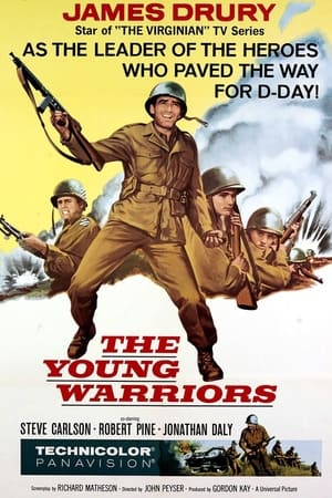 Poster The Young Warriors (1967)