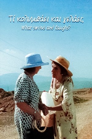 Poster Τι Κολυμπάει και Γελάει; 2003