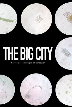 Póster oficial de la película The Big City