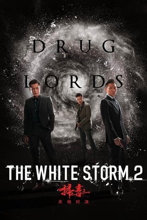 The White Storm 2: Drug Lords (2019) | Team Personality Map