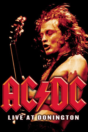 Poster AC/DC - koncert v Doningtonu 1992