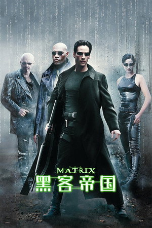 poster The Matrix