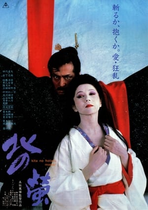 Poster 北の螢 1984