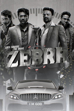 Zebra 23