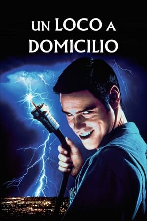 Poster Un loco a domicilio 1996