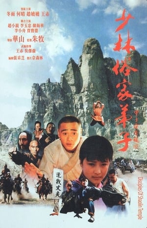 Poster 少林俗家弟子 1985