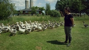 La ferme et son état