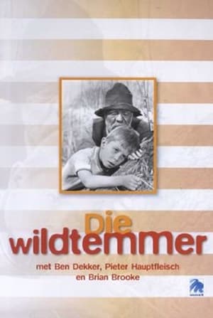 Poster Die Wildtemmer (1973)