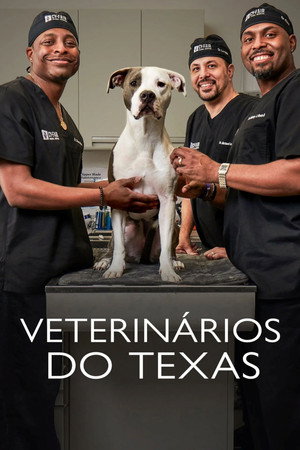 The Vet Life - Season 2