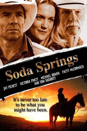 Poster Soda Springs 2012