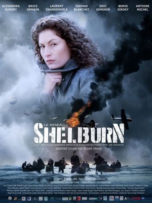 Poster Le réseau Shelburn (2020)