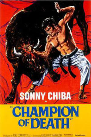 Poster Karate Bullfighter (1975)