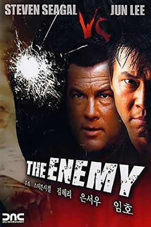 Poster The Enemy 2004