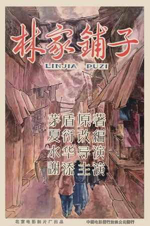 The Lin Family Shop 8