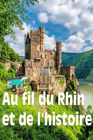 Poster Le Rhin - Au fil de l‘Histoire 2016