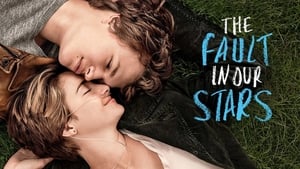 The Fault in Our Stars 2014