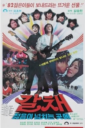 Poster 갈채 1982