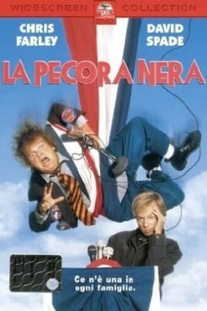 Poster La pecora nera 1996