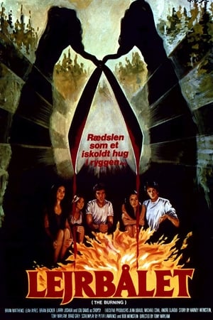 Poster Lejrbålet 1981