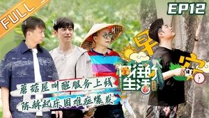 Back to Field: 4×12