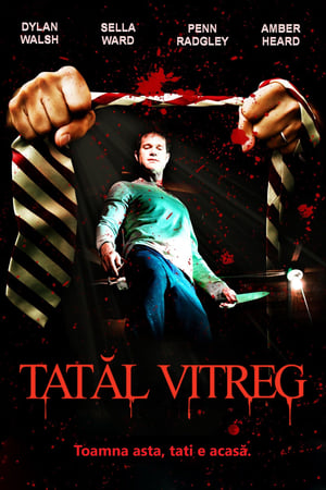 Poster Tatăl vitreg 2009