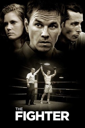 Nonton Drama Korea The Fighter (2010)