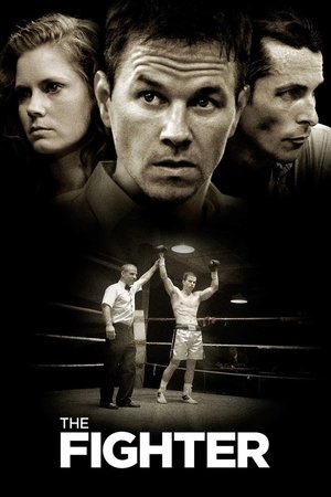 Click for trailer, plot details and rating of The Fighter (2010)