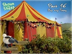 Big Top Timmy