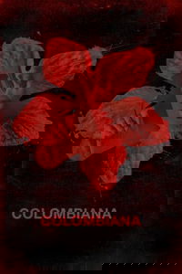 undefined image