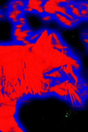 9 Lives Measured in Mercury