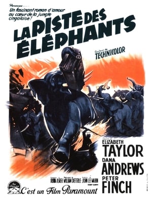 Poster La Piste des éléphants 1954