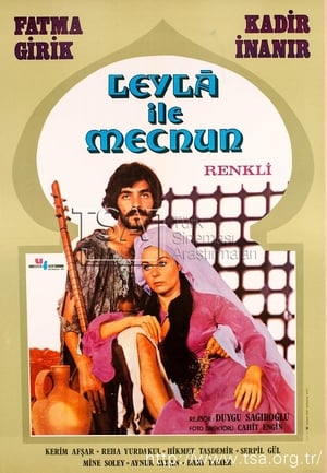 Leyla ile Mecnun poster