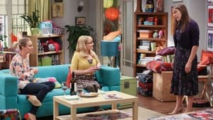 The Big Bang Theory Season 9 Episode 8