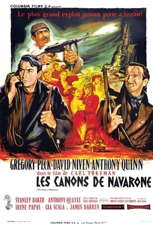 Poster Les Canons de Navarone 1961