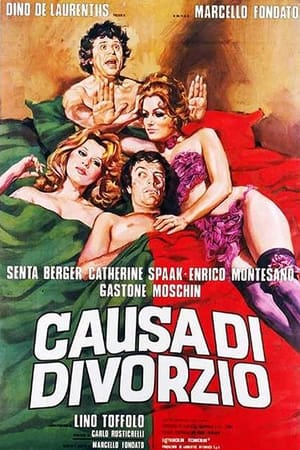 Causa di divorzio (1972)