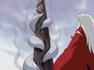 InuYasha: 6×159