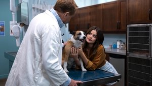 Puppy Love 2023