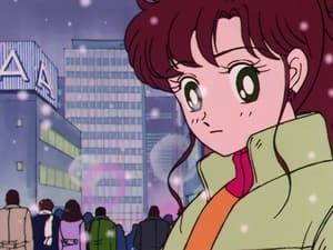 Sailor Moon: 1×41