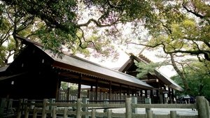 Journeys in Japan: 12×8