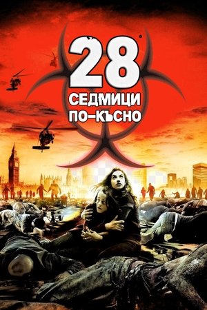 Poster 28 седмици по-късно 2007