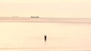 Spiraling Winding Night