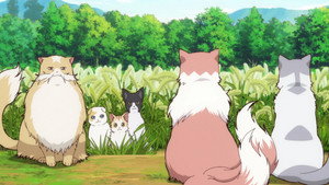 Neko to Ryuu Cap 7