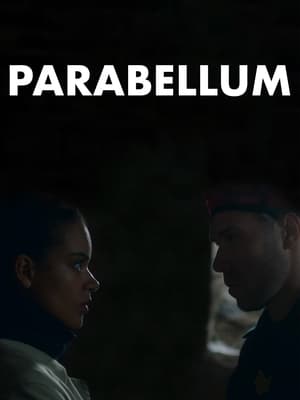 Poster Parabellum (2023)