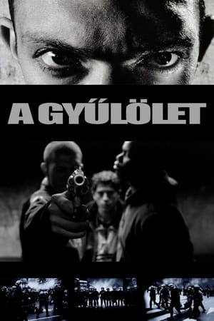 Poster A gyűlölet 1995