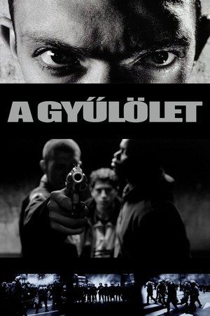 Poster A gyűlölet 1995