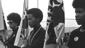 Black Panthers film complet