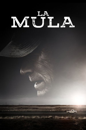 The Mule 114