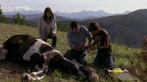 Heartland: Stagione 3 – Episodio 9