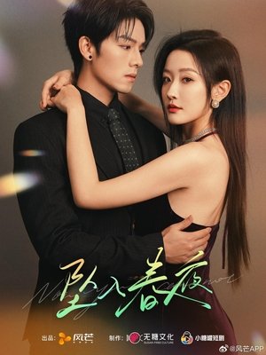 Affiche de 坠入春夜