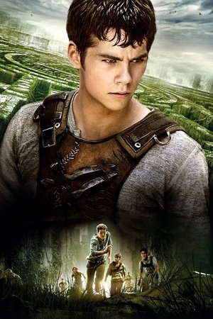 poster The Maze Runner